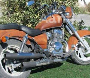 Moto Customizada
